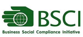 bsci-logo